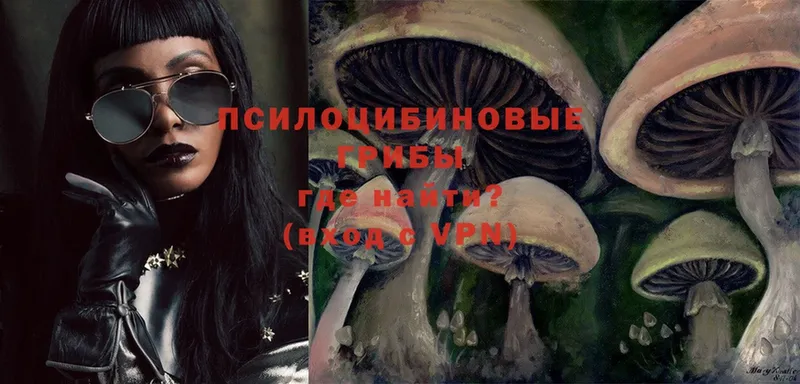 Псилоцибиновые грибы Psilocybe  где купить наркоту  Заречный 